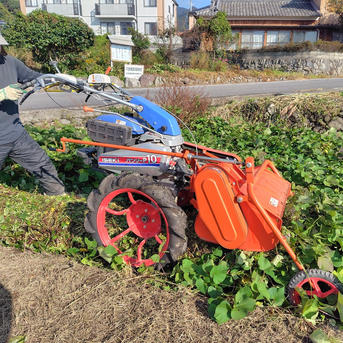 さべにはるか A品L10kg 丸L 10kg 紅はるか 10kg」の人気商品一覧・価格