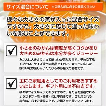 減農薬　有田みかん早生　秀品　 10kg 10kg 果物/温州みかん通販