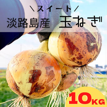 淡路島　玉ねぎ　スイートオニオン　9.8kg 玉ねぎ　３５玉前後 野菜/玉ねぎ通販