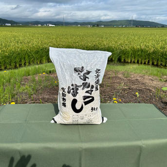 新米令和7年北海道産 農家直送ななつぼし | 米・穀物/米/精米 産直