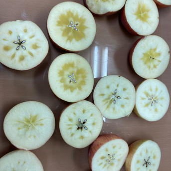 4箱分！3キロ6-9玉×4箱 蜜入チェック済み 大玉葉取らず減農薬栽培サン