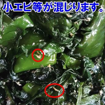 塩蔵わかめ 10ｋｇ入 塩蔵ワカメ B級品 訳あり品  小エビや小さい海藻の除去などが不十分だけど十分お召し上がりいただける若布です「ワカメ茎あり　10ｋｇ」 10kg 魚介類/海藻通販
