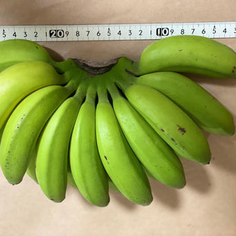 沖縄🏝太陽をたくさん浴びて育った🍌島バナナ約1.1kg 約1.1kg 果物/バナナ通販