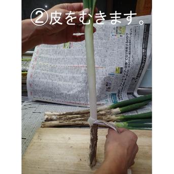 ⭕️至福の極甘ネギ⭕️超極太❗3Lサイズ◇17本 約4.4kg✨ ⭕️超極太❗3Lサイズ◇17本 約4.4kg✨ 野菜/ねぎ通販