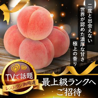 🍑贈答用ブランド極上朝採れ桃🍑【8月上旬】わずか5%しか収穫されない糖度16度以上を誇る一流レストラン御用達ワンランク上の濃厚な甘さ 贈答ワンランク上約1.5kg 果物/もも通販