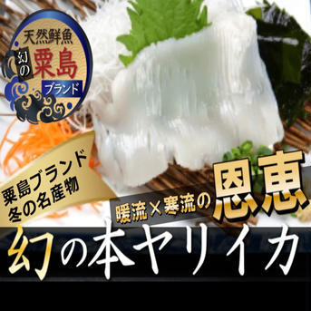 🐟今だけしか味わえない🐟寒ブリに並ぶ粟島ブランドの二大巨頭天然国産本ヤリイカ大容量🐟冬ギフト🐟 ヤリイカ刺身約400ｇ 魚介類/イカ通販