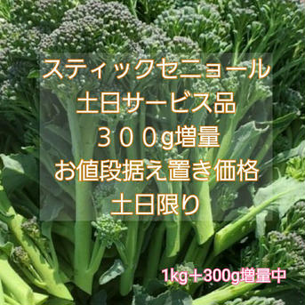 クール便発送！スティックセニョール！増量箱！土日サービス品! 通常ｋｇに＋３００ｇ増量中！ 1kg 野菜/ブロッコリー通販