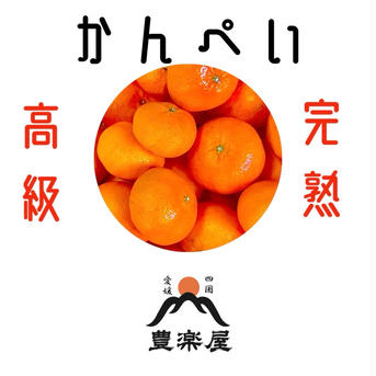 真穴（まあな）産地直送！完熟甘平（かんぺい）3kg 贈答用　精品 3kg 果物/オレンジ・その他みかん通販