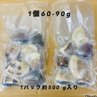 液体冷凍はまぐり　1個60-90g（中）　   約500g×2パック 　1個60-90g（中）　   約500g×2パック 魚介類/蛤通販