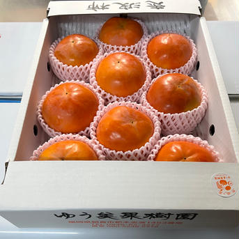 ゆうみ果樹園の志波柿(冨有柿) (L〜2L混合) L〜2L 11個〜12個 果物/柿通販