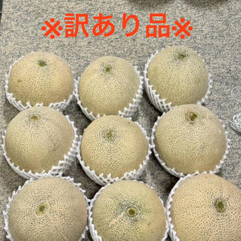 B品】ルピアレッド 6L2玉 ｜ 果物/メロン 産直アウル 農家・漁師など