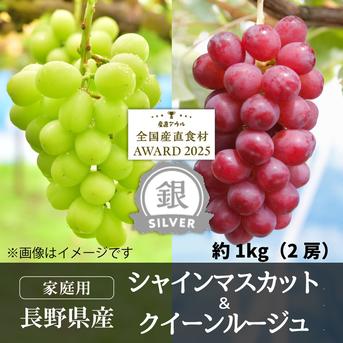 クイーンルージュ 1キロ / シャインマスカット、巨峰なども出品中