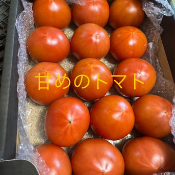 ちょっと甘いトマト２段セット★80サイズ箱詰め ちょっと甘いトマト80サイズ箱詰め★２段セット 野菜/トマト通販