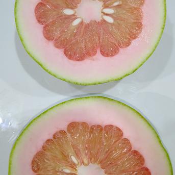 【巨大なみかん】ぼんたん二個入り  お歳暮に最適 二個入り。一個あたり800g~ 果物/オレンジ・その他みかん通販