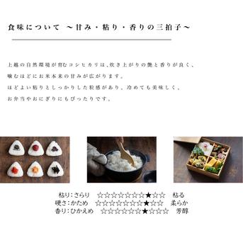 新潟県産コシヒカリ,和泉,20kg,令和7年新米,【受注後精米・農家直売 