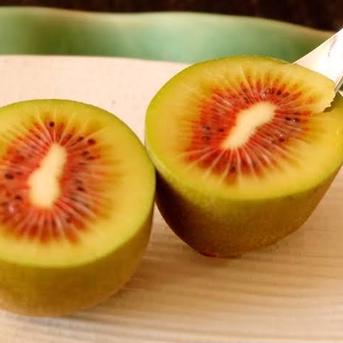 10箱限定!ご予約販売始まりました!!】最も甘い!!赤いキウイ!低 10箱限定!ご予約販売始まりました!!】最も甘い!!赤いキウイ!低