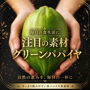 PAPA CHA 9種お試しティーセット／青パパイヤの酵素茶 × ブレンド茶