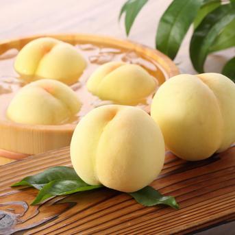 【小玉】【限定50箱】岡山白桃約3.5㎏ 約3.5㎏ 果物/もも通販