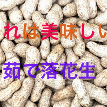 ジャンボ落花生【おおまさりネオ】2kg ｜ 野菜/豆類 産直アウル 農家