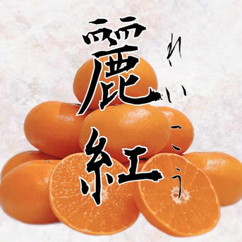 麗紅農家直送箱込み約10キロ×2。20キロ傷あり中~小混合。 訳あり麗紅(れいこう) ｜ 果物/オレンジ・その他みかん 産直アウル