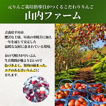 値下げ【数量限定】青森県ぐんま名月、家庭用約3kg自然の恵みたっぷり