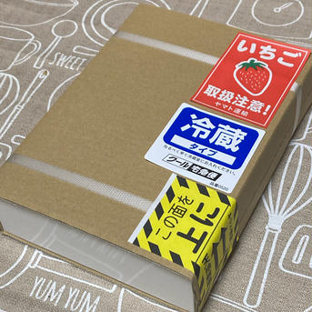日にち指定OK!ギフトに最適やよいひめトレー詰め500g 500g 果物/いちご通販