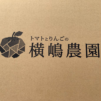 訳ありミニトマト🍅キャロルムーン🍅 ミニトマト2kg 野菜/トマト通販