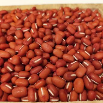 おうち時間を楽しく！　丹波大納言小豆　莢付き 400g 野菜/豆類通販
