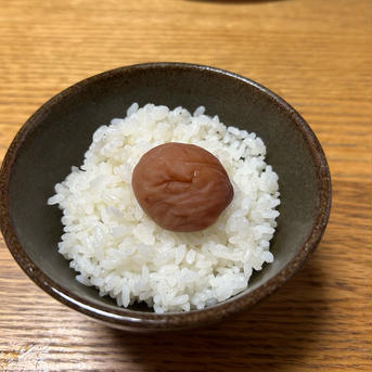 梅農家が作った梅干し　紀州南高梅　400ｇ　Ｂ品　２Ｌ　白干し梅 白干し南高梅、梅干し400ｇ 加工品/梅干通販