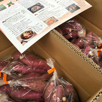 掘り立て小芋の食べ比べセット紅はるか小芋500g×3袋、シルクスイート小芋500g×3袋 紅はるか小芋500g×3袋、シルクスイート小芋500g×3袋 野菜/さつまいも通販