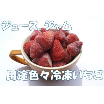 冷凍いちご 冷凍いちご２kg（１kg×２袋） 果物/いちご通販