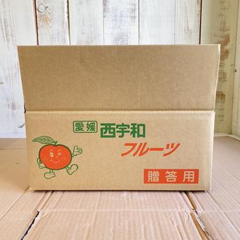 石地温州！小玉ちゃん！5キロ箱 4.5キロ 果物/温州みかん通販