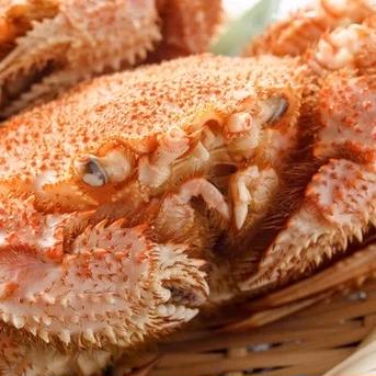 今シーズン初物 ボイル 冷凍毛蟹 1kg（1kgあたり4〜5杯） | 魚介類