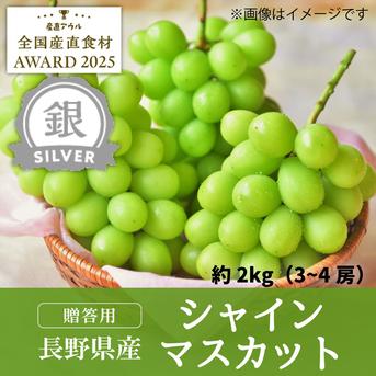 贈答用シャインマスカット2kg（3～4房）【銀賞受賞】／本気農場いけだ 約2kg（3～4房） 果物/ぶどう通販