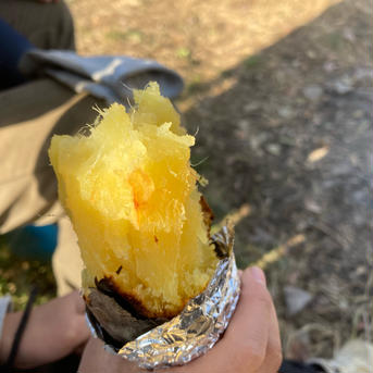 池上農園の土付きさつまいも -べにはるか- 2キロ 野菜/さつまいも通販