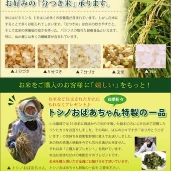 期間限定！　[在庫処分特別価格]   業務用米   10kg   白米   令和3年産   (送料込み) 10kg×1 米・穀物/米/精米通販