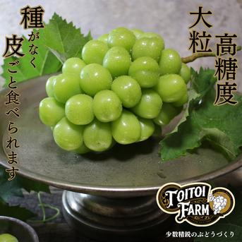 【贈答用】岡山県産シャインマスカット2房［1.4キロ以上］贈答用大きめの房【ギフト】 2房　1.4kg 果物/ぶどう通販