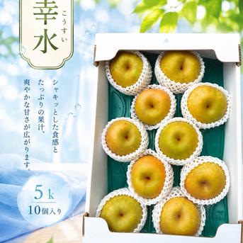梨 幸水 秀品 5キロ 10個入 ｜ 果物/梨 産直アウル 農家・漁師など生産