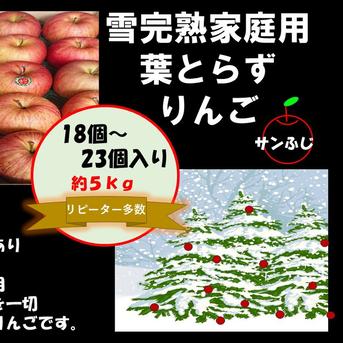 青森県産りんご 蜜入り 昔ながらの自然タップリ [メディアでお声が