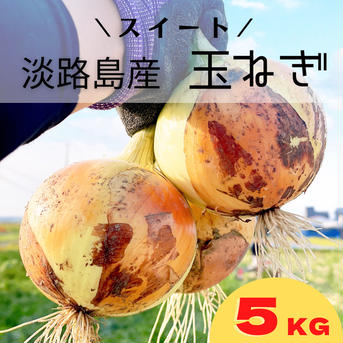 訳あり　淡路島　玉ねぎ　4.8kg 訳あり　玉ねぎ　１５玉前後 野菜/玉ねぎ通販