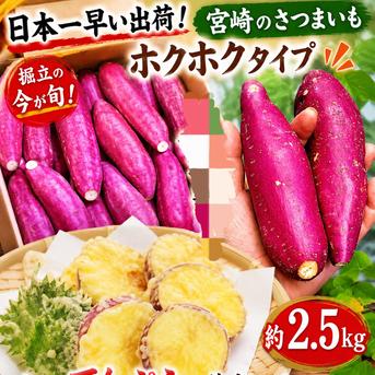 新物宮崎さつまいも2.5kg ｜ 野菜/さつまいも 産直アウル 農家・漁師