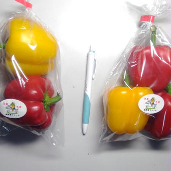 パプリカS～２Sサイズ 10袋 野菜/パプリカ通販