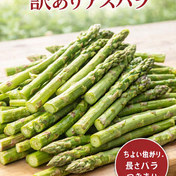 食品 新鮮アスパラ アスパラガス B品 訳あり