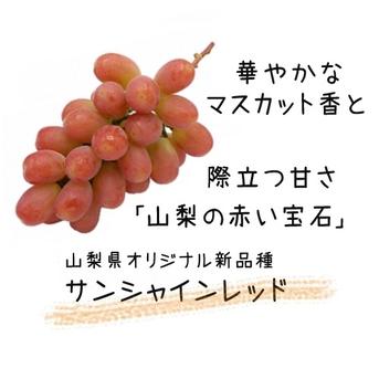 こだわりの種あり】2色粒々ぶどう（シャイン＆クイーンニーナ） 1.5kg 