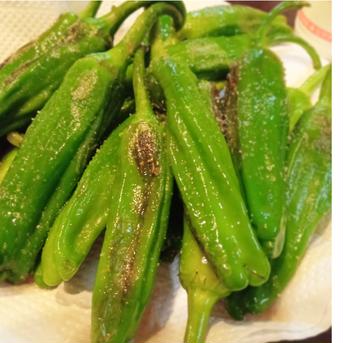 青森県産　パドロン（西洋ししとう）　500g 500g 野菜/スパイス通販