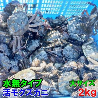 活モクズガニ「【海水なしタイプ】 大サイズ２kg」(目安9-15杯) ツガニ つがに 宮城県松島湾産 配送地域四国中国九州沖縄の方におススメ 他に大サイズも出品中 もくずがに 2kg 魚介類/カニ通販