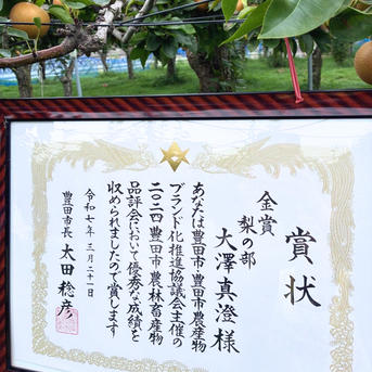 豊水梨 20個 大玉 秀品 5キロ箱 2箱 ｜ 果物/梨 産直アウル 農家
