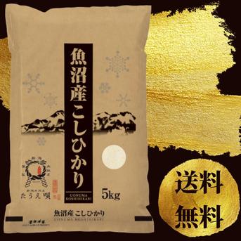 新米　令和6年産　魚沼産コシヒカリ　5kg　送料無料 5kg 米・穀物/米/精米通販