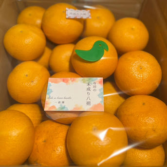 早生八朔　家庭用2Lサイズ以上　 20kg、1 八朔 無農薬（家庭用）20Kgのお取り寄せ販売（通販）送料無料でお届け
