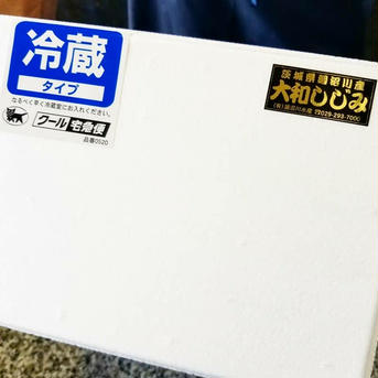 《お試しＭ,Ｌサイズ食べ比べ》高浸透圧で旨味成分をUP＊最高級品 大和しじみ＊完全砂抜き済み！茨城県 涸沼湖産 究極！こだわり活しじみ 1.6㎏(Ｌ600g/Ｍ1.0㎏) 1.6㎏ 魚介類/しじみ通販